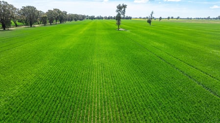 596 Gum Swamp Road Balldale NSW 2646 - Image 2
