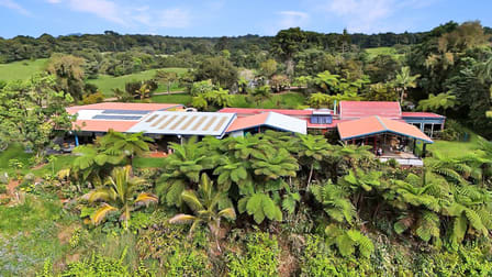 69 Wairambar Creek Road Topaz QLD 4885 - Image 1