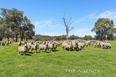 3275 Toodyay Road Gidgegannup WA 6083 - Image 3