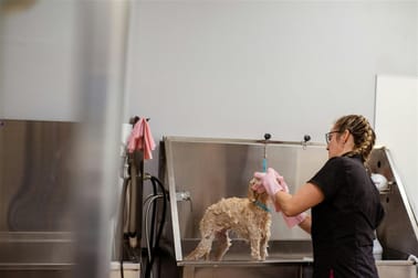 Cleaning Services  business for sale in Balwyn - Image 2