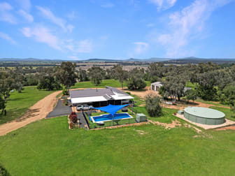 'Taryndoon' 481 Quia Station Road Emerald Hill NSW 2380 - Image 2