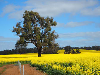 Kilburnie Etna Road Broomehill WA 6318 - Image 1