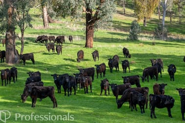 361 Dicksons Lane Orange NSW 2800 - Image 3