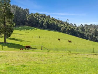 360 Lobster Creek Road West Ulverstone TAS 7315 - Image 3