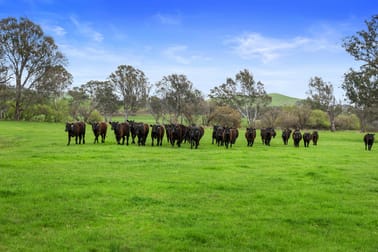 6089 Melba Highway Yea VIC 3717 - Image 1