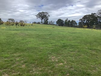 20 Chetwynd Road Whiteheads Creek VIC 3660 - Image 2