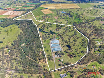705 Cut Hill Road Cobbitty NSW 2570 - Image 1