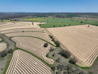 4436 Yetman Road Graman NSW 2360 - Image 1
