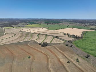 4436 Yetman Road Graman NSW 2360 - Image 2