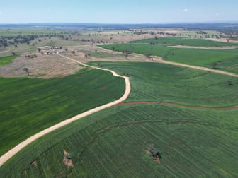 4436 Yetman Road Graman NSW 2360 - Image 3