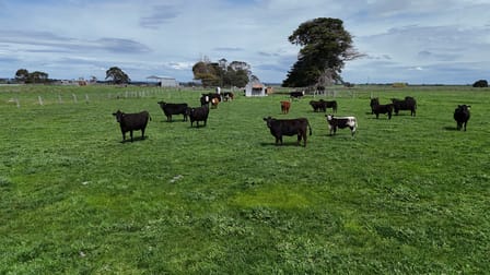 138 Morrells Road Ondit VIC 3249 - Image 2