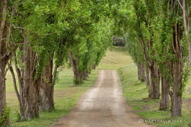 Click to view all images 540 Truemans Road Fingal VIC 3939 - Image 3