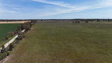 3166 Back Trundle Road Parkes NSW 2870 - Image 3