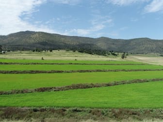 Lot 1 874 Top Swanfels Road Swanfels QLD 4371 - Image 1
