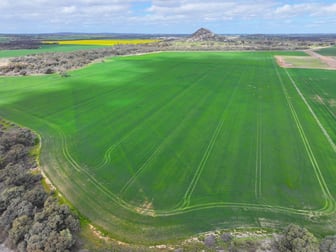 15 Oneil Street Pyramid Hill VIC 3575 - Image 3