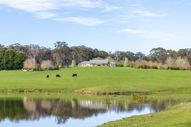 181 & 145 Walkers Lane Avoca NSW 2577 - Image 3