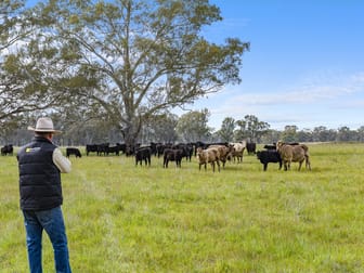 Lot 2 & Lot 1, PS 72 Basin Road Tarnook VIC 3670 - Image 1