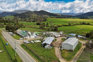 163 St Columba Falls Road Pyengana TAS 7216 - Image 1