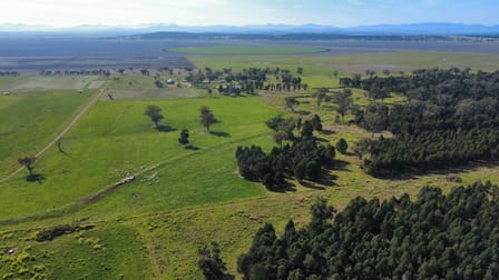 "Glenaladale" 167 Mooki Springs Road Quirindi NSW 2343 - Image 2