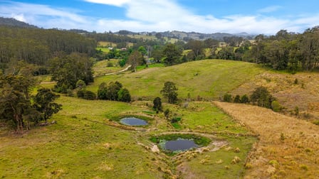 792 Mooral Creek Road Strathcedar NSW 2429 - Image 3