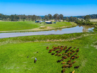 11934 Clarence Way Sandilands NSW 2469 - Image 2