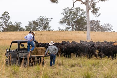 152 Red Gully Road Burrell Creek NSW 2429 - Image 2