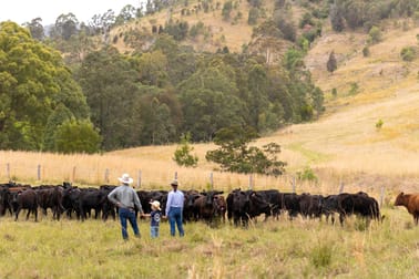 152 Red Gully Road Burrell Creek NSW 2429 - Image 3
