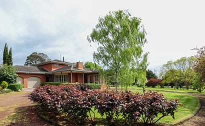 555 Mill Road Strathkellar VIC 3301 - Image 2