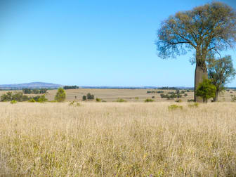 'Bracco' Orallo Road Roma QLD 4455 - Image 1