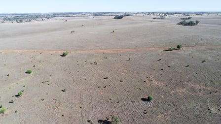 'Bracco' Orallo Road Roma QLD 4455 - Image 3