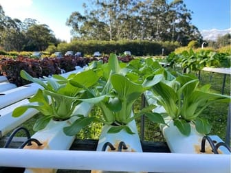 Aquaculture  business for sale in Mid North Coast NSW - Image 2