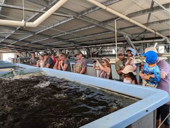 Aquaculture  business for sale in Mid North Coast NSW - Image 3