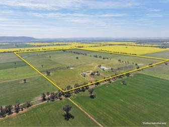 100 Tauntons Road Kikiamah NSW 2594 - Image 2