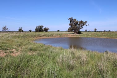 Dandaloo Road Albert NSW 2873 - Image 1