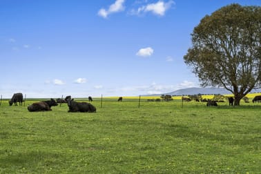 3077 Geelong Road Cross Roads VIC 3373 - Image 2