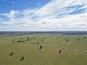 ' Dalmallee' 735 Charcoal Tank Road West Wyalong NSW 2671 - Image 3