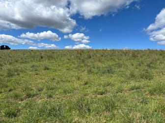 Click to view all images 1186 Campbells River Road Mount David NSW 2795 - Image 3