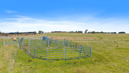 1186 Campbells River Road Mount David NSW 2795 - Image 3