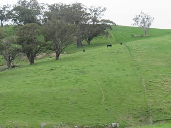 "Blair Athol" 2340 Campfire Road Walcha NSW 2354 - Image 2