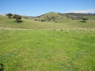 "Blair Athol" 2340 Campfire Road Walcha NSW 2354 - Image 3