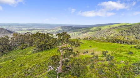 Lot 8 Strangways Road Inman Valley SA 5211 - Image 1