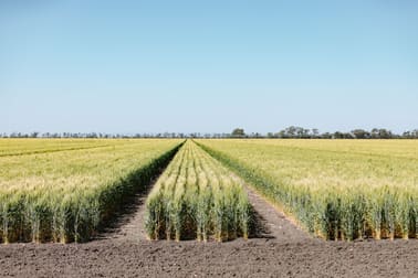 Click to view all images Dalby QLD 4405 - Image 1