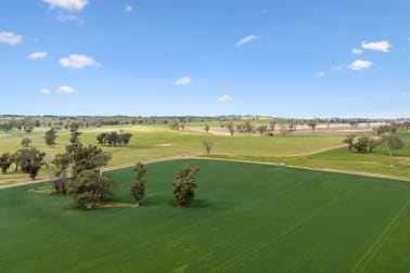 "Bellissima" 630 Astons Lane, Thuddungra Via Young NSW 2594 - Image 3