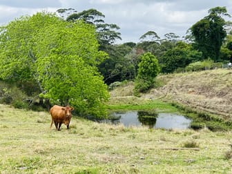 50 Horne Road Mount Mee QLD 4521 - Image 1