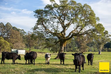 6060 Waterfall Way Dorrigo NSW 2453 - Image 1