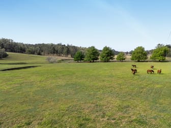 177 Armstrong Road Biddaddaba QLD 4275 - Image 3