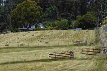 1001 Holwell Road Holwell TAS 7275 - Image 3