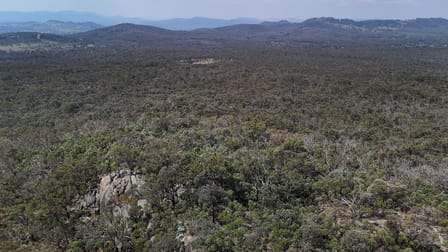 Lot 8 Binghi Road Tenterfield NSW 2372 - Image 1
