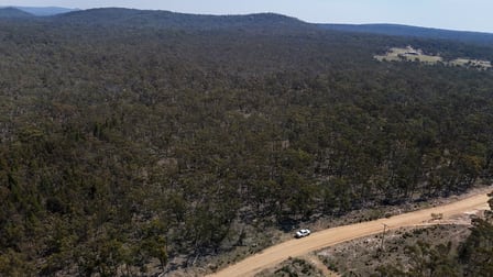 Lot 8 Binghi Road Tenterfield NSW 2372 - Image 2