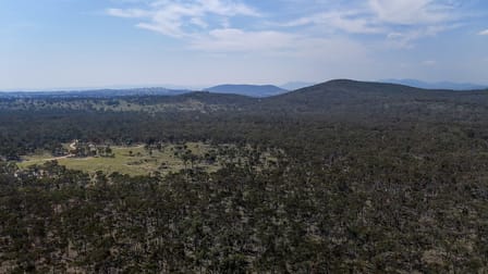 Lot 8 Binghi Road Tenterfield NSW 2372 - Image 3